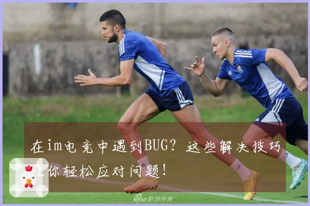 在im电竞中遇到BUG？这些解决技巧让你轻松应对问题！