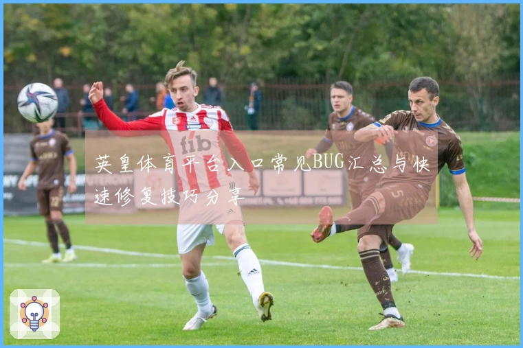 英皇体育平台入口常见BUG汇总与快速修复技巧分享